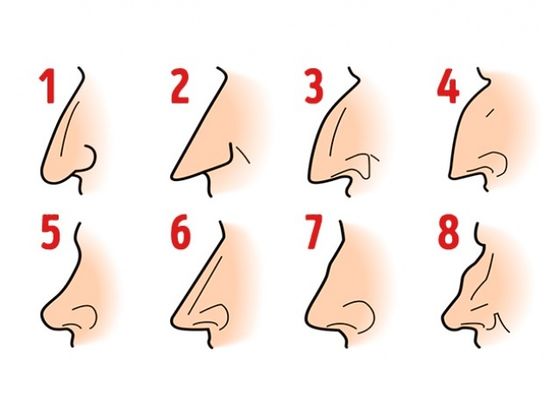 Elige la forma de tu nariz y te diremos cómo eres