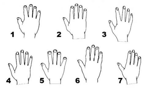 La forma de tus manos revelan tu personalidad