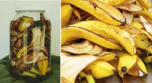 Aprende hacer un Potente Fertilizante a base de Cascara de Banana.Para tus hermosas plantas