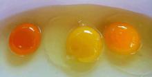 Debes pensar dos veces antes de decidir cuál de estas yemas de huevo te parece más normal