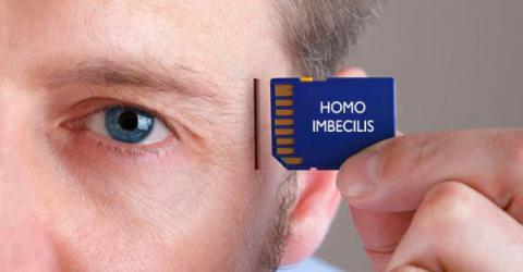 El Homo Imbecilis: La Culminación de la Evolución Humana