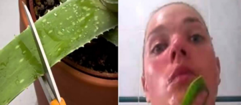 Frota aloe vera en tu cara y mira lo que sucede en 15 minutos…