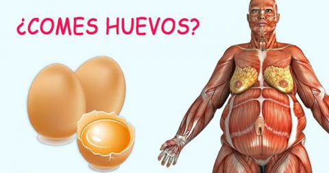 Los médicos revelan: Esto sucede en su cuerpo cuando comienza a comer dos huevos por día