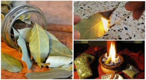 Simplemente quemar una hoja de laurel en su casa. La razón? Usted querrá probar este truco después de leer ESTO!