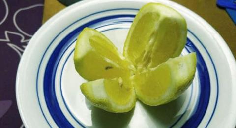 PARTE UNOS LIMONES Y COLÓCALOS EN TU DORMITORIO, ESTO TE SALVARA LA VIDA