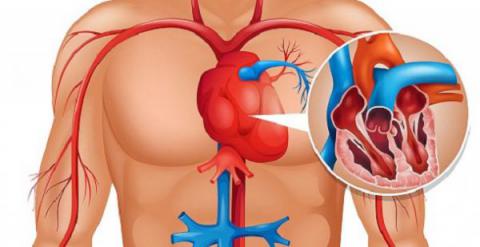 El cuerpo avisa 1 mes antes de un infarto. Las pistas ocultas que todos deberíamos conocer