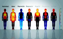 Efectos negativos de las emociones y pensamientos: Cómo las emociones afectan a nuestro organismo