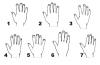 La forma de tus manos revelan tu personalidad